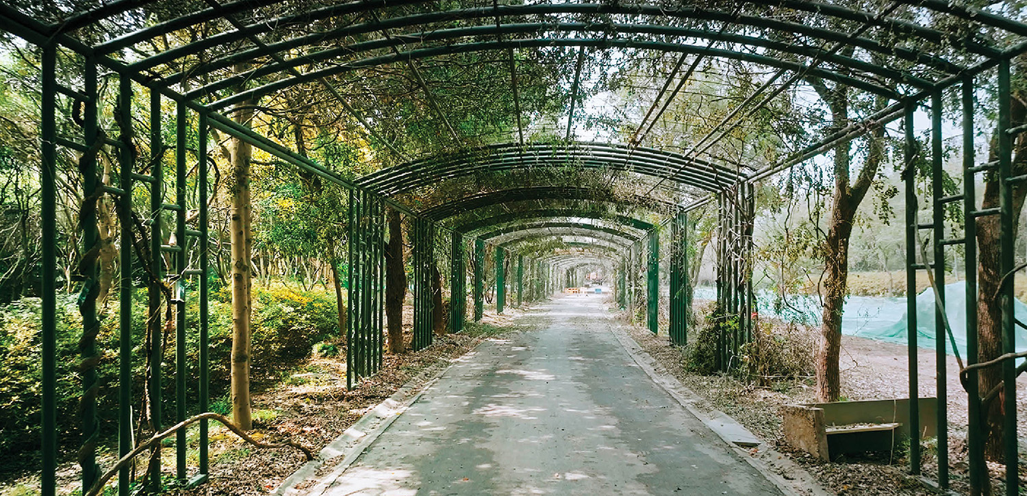 A walkway in the middle of a park