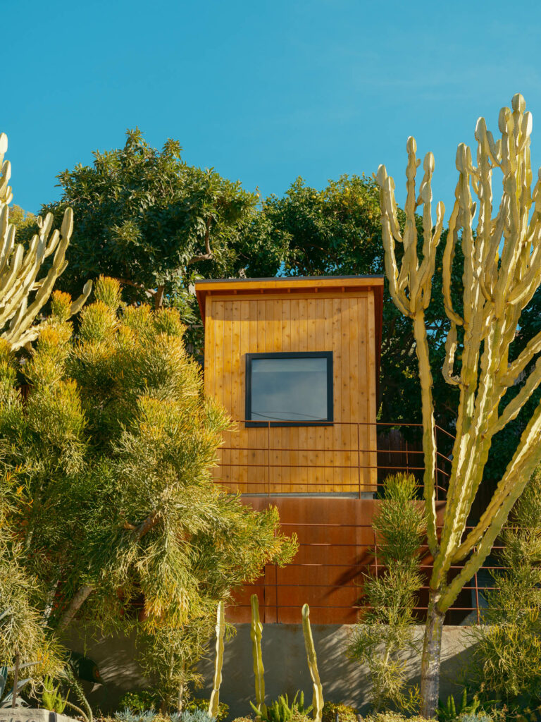 a small wooden house surrounded by cacti