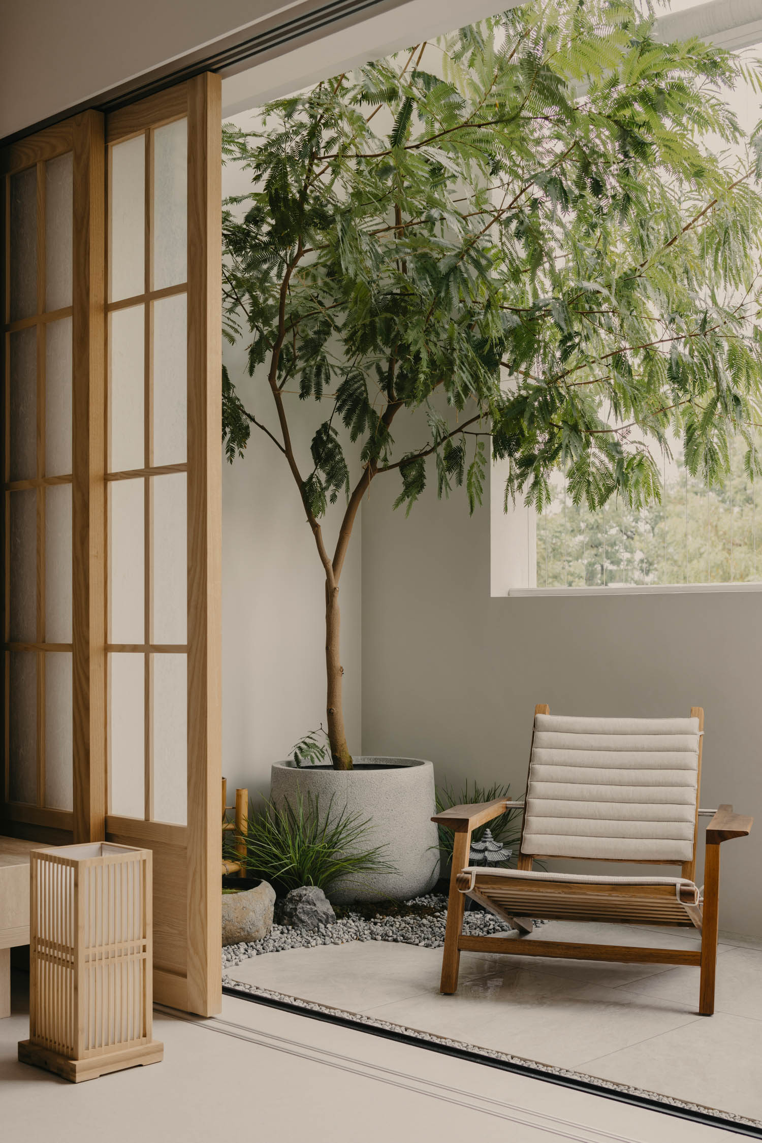 potted tree near a window and armchair