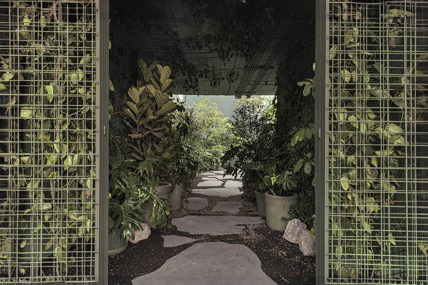 view of an indoor garden with green latticed fence