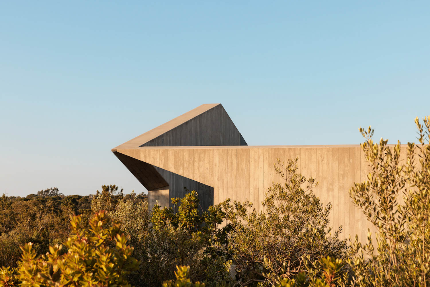 exterior of building surrounded by greenery