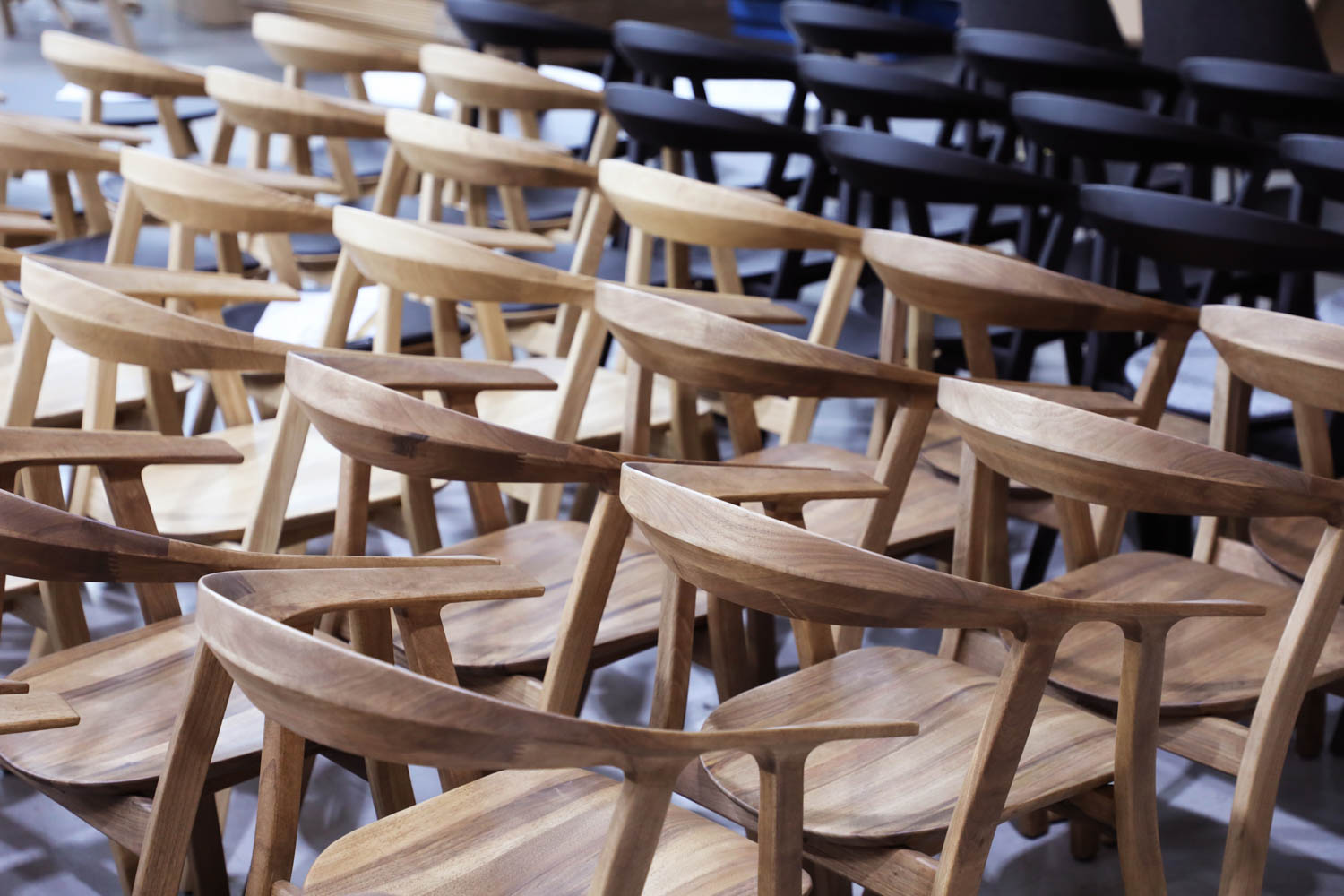 multiple chairs lined up in a row